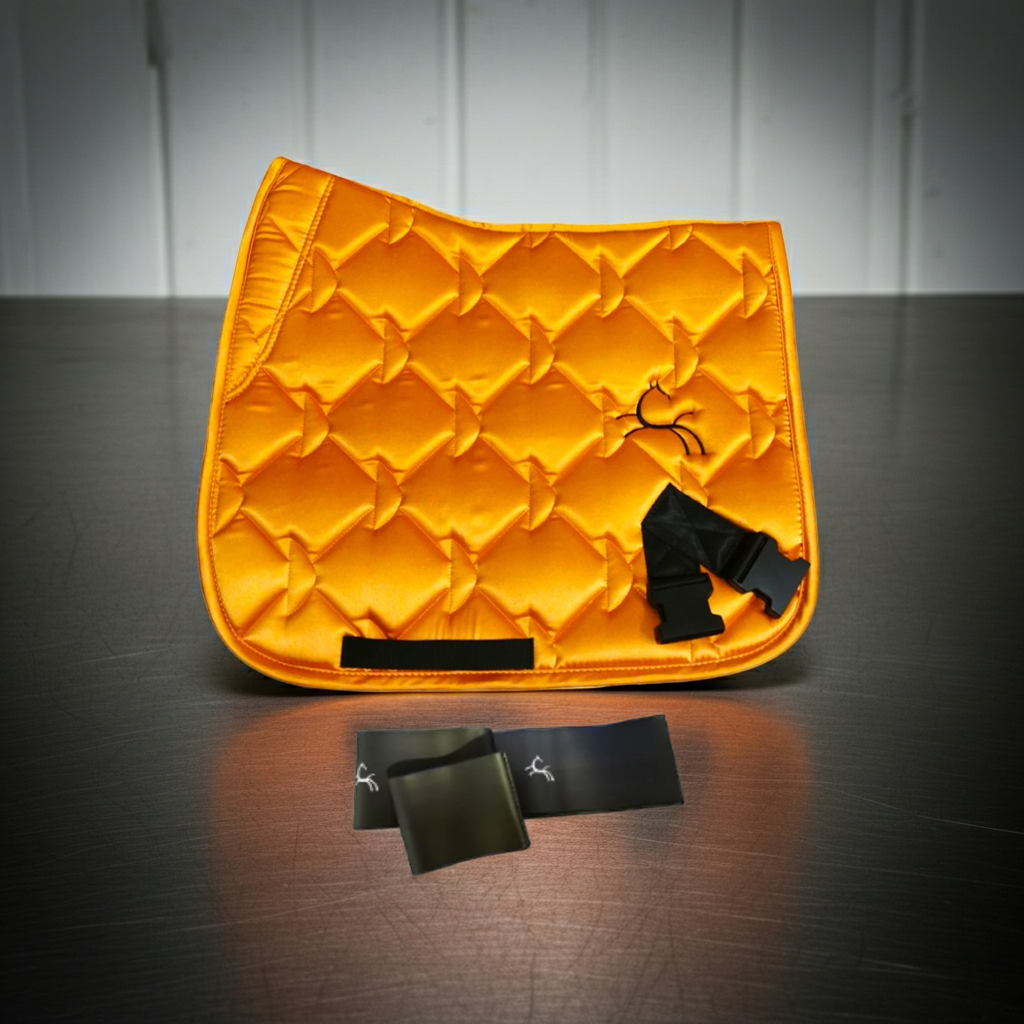 Horse Training Bands with Saddle Pad – Complete Set in Orange
